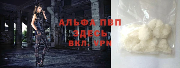 спиды Богданович