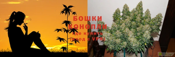 гашик Богородицк