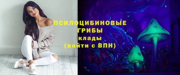 гашик Богородицк