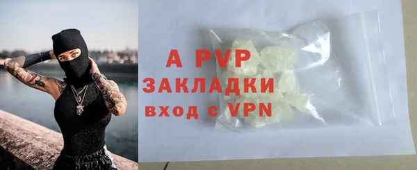 спиды Богданович