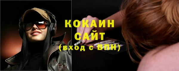 спиды Богданович