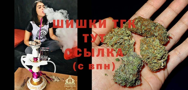 спиды Богданович
