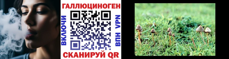мориарти наркотические препараты  blacksprut зеркало  Бердск  Галлюциногенные грибы Psilocybe 