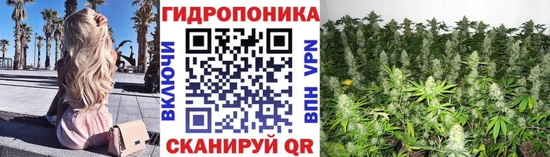 kraken ссылки  Бердск  Каннабис сатива 